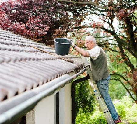 Pourquoi prévoir un démoussage toiture à Chaville avant l&rsquo;arrivée de l&rsquo;hiver pour limiter les dégradations liées au gel ?